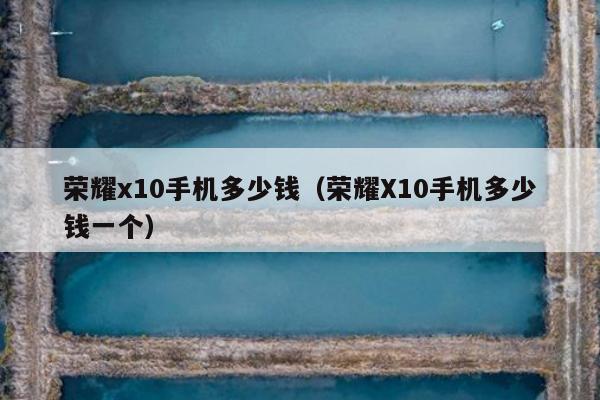 荣耀x10手机多少钱（荣耀X10手机多少钱一个）