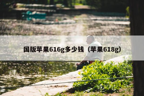 国版苹果616g多少钱（苹果618g）