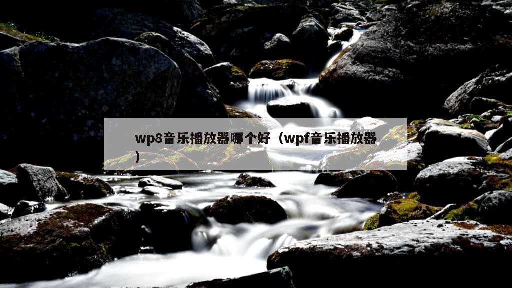 wp8音乐播放器哪个好（wpf音乐播放器）