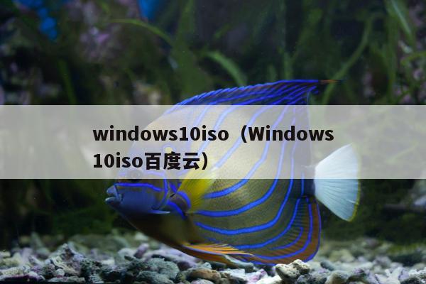 windows10iso（Windows10iso百度云）