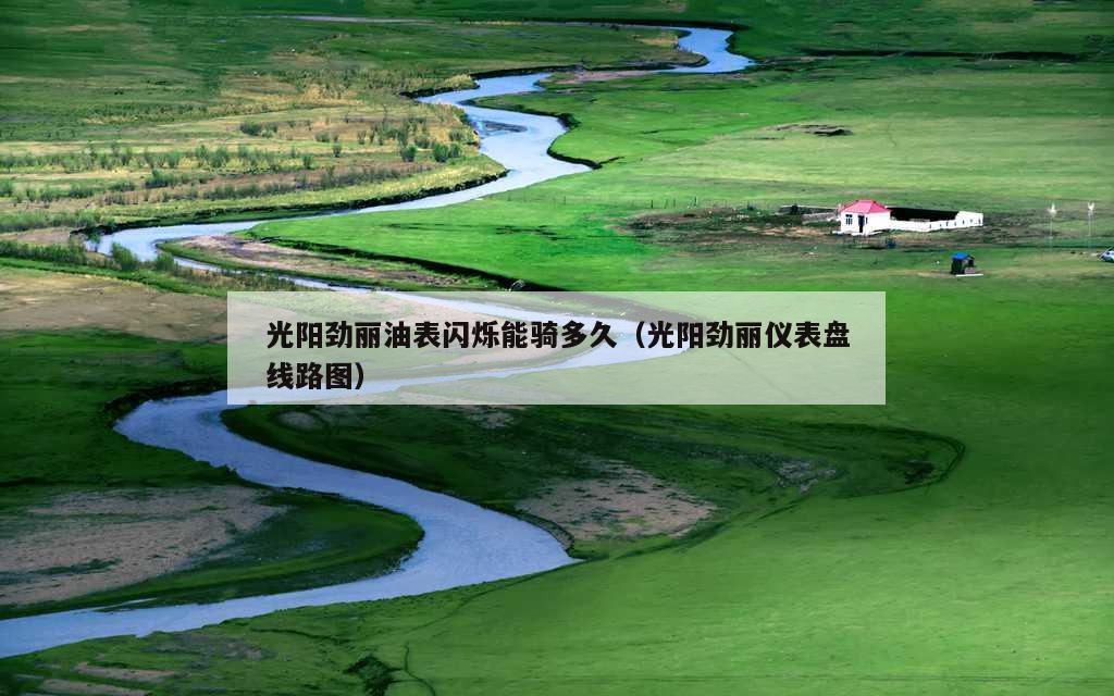 光阳劲丽油表闪烁能骑多久（光阳劲丽仪表盘线路图）