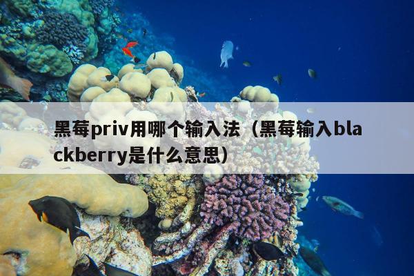 黑莓priv用哪个输入法（黑莓输入blackberry是什么意思）