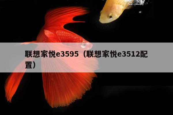 联想家悦e3595（联想家悦e3512配置）