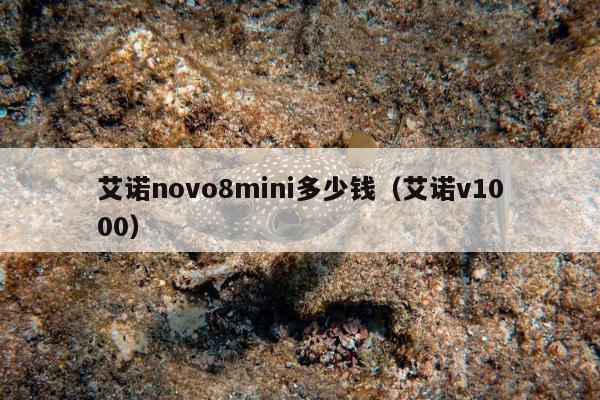 艾诺novo8mini多少钱（艾诺v1000）