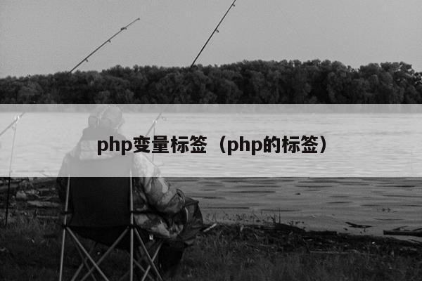 php变量标签（php的标签）