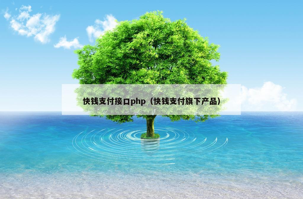 快钱支付接口php（快钱支付旗下产品）