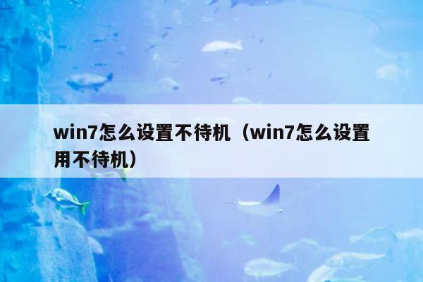 win7怎么设置不待机（win7怎么设置用不待机）