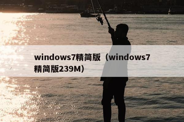 windows7精简版（windows7精简版239M）