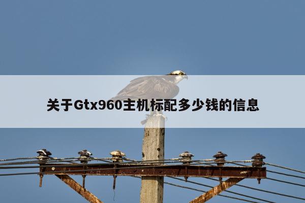 关于Gtx960主机标配多少钱的信息