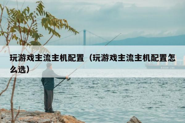 玩游戏主流主机配置（玩游戏主流主机配置怎么选）