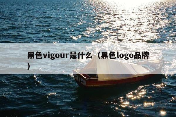 黑色vigour是什么（黑色logo品牌）