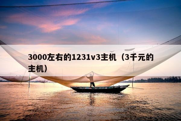 3000左右的1231v3主机（3千元的主机）