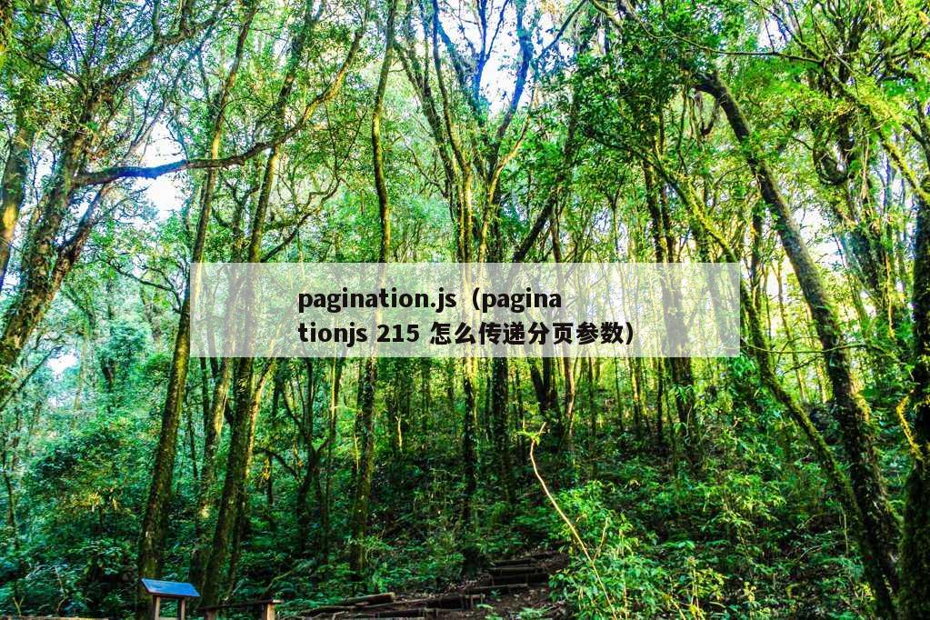 pagination.js（paginationjs 215 怎么传递分页参数）