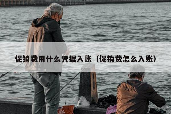 促销费用什么凭据入账（促销费怎么入账）