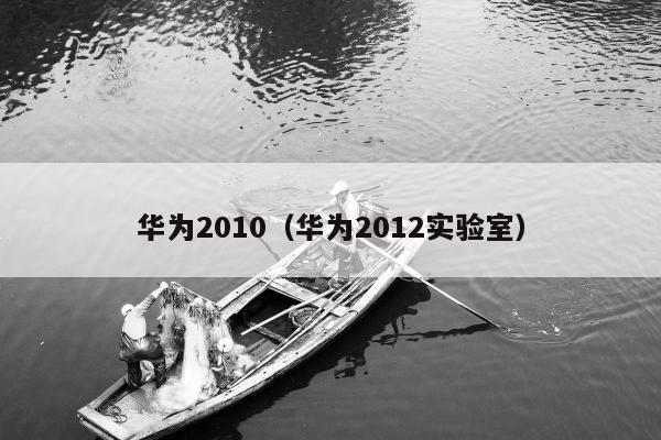 华为2010（华为2012实验室）