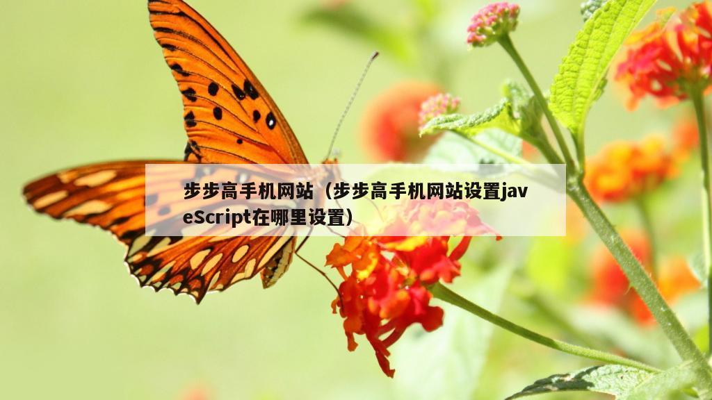 步步高手机网站（步步高手机网站设置javeScript在哪里设置）