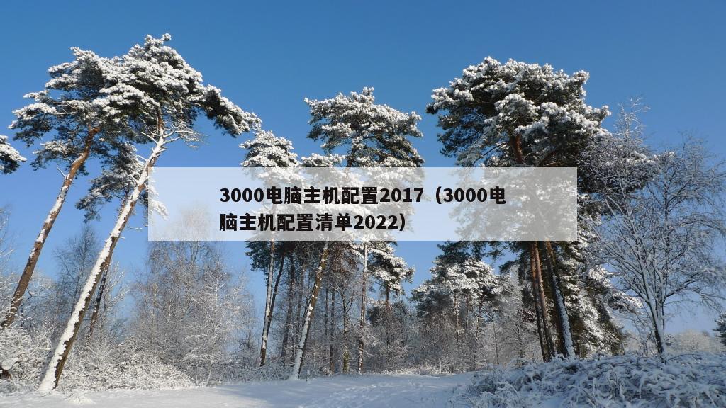 3000电脑主机配置2017（3000电脑主机配置清单2022）