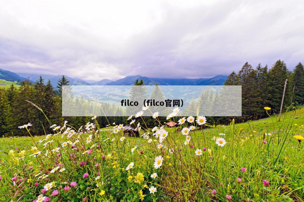 filco（filco官网）