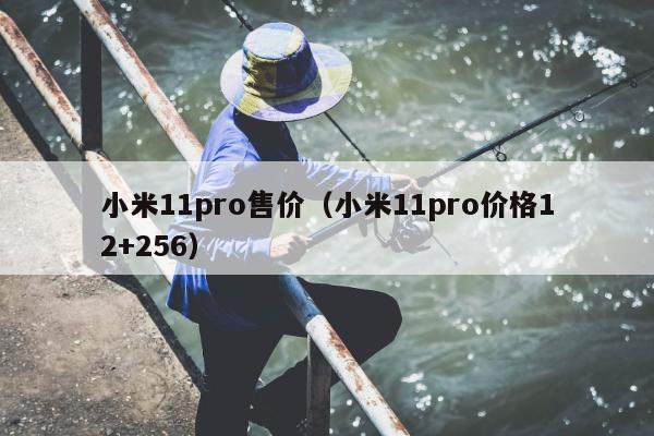 小米11pro售价（小米11pro价格12+256）