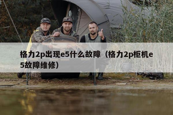 格力2p出现e5什么故障（格力2p柜机e5故障维修）