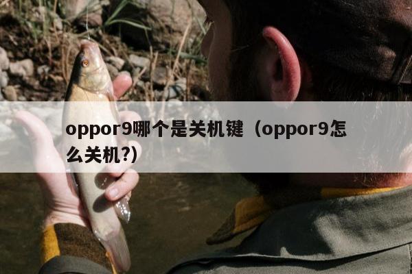 oppor9哪个是关机键（oppor9怎么关机?）