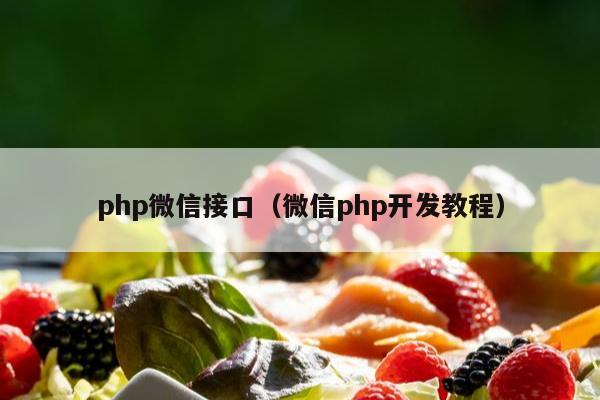 php微信接口（微信php开发教程）