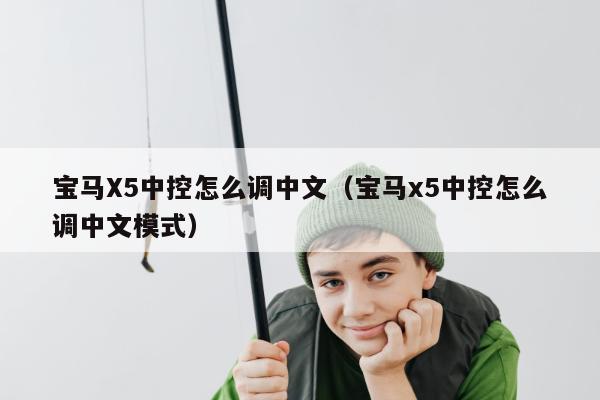 宝马X5中控怎么调中文（宝马x5中控怎么调中文模式）