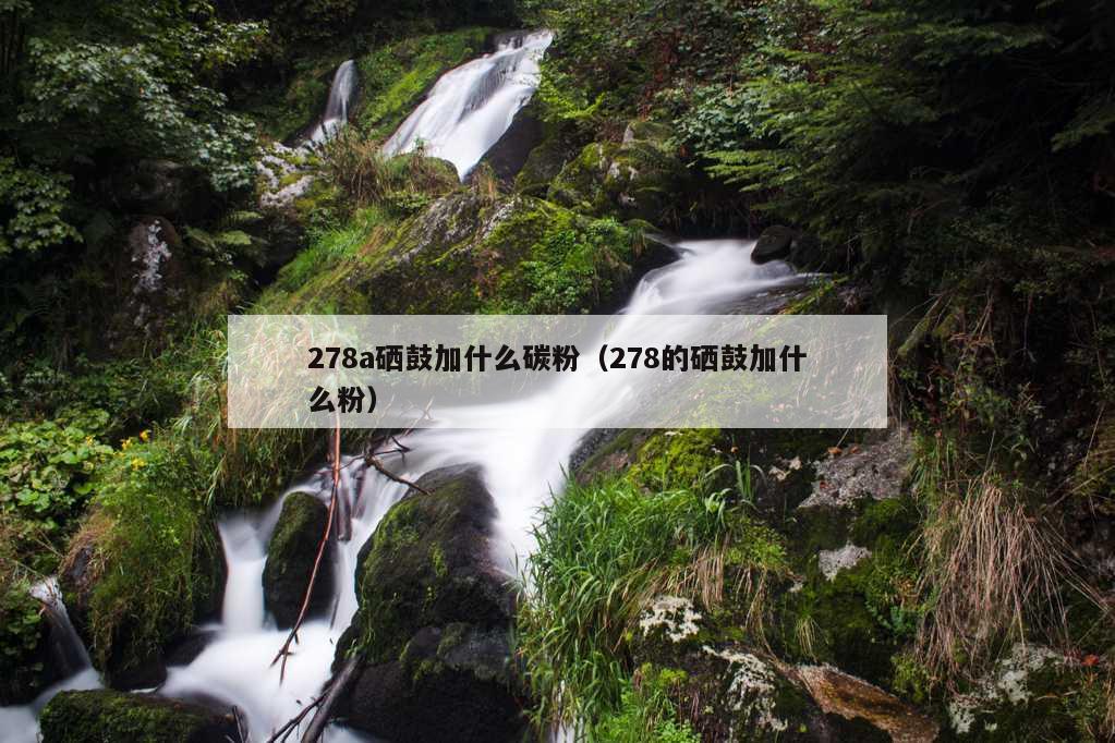 278a硒鼓加什么碳粉（278的硒鼓加什么粉）