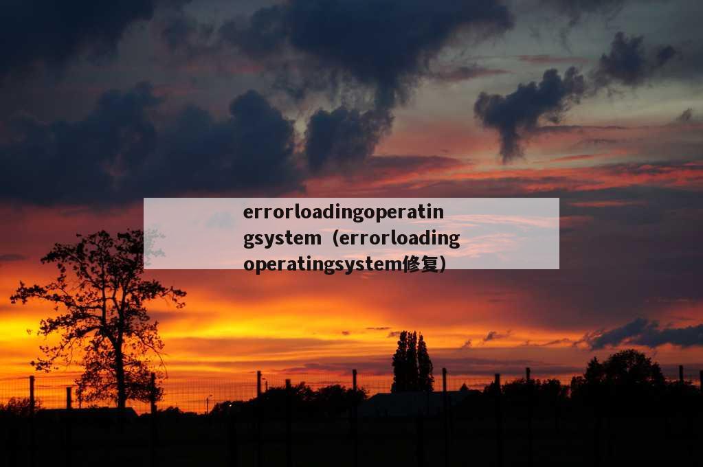 errorloadingoperatingsystem（errorloadingoperatingsystem修复）