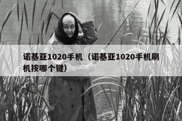 诺基亚1020手机（诺基亚1020手机刷机按哪个键）