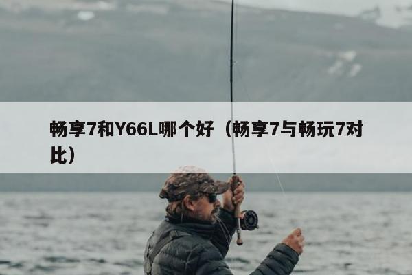 畅享7和Y66L哪个好（畅享7与畅玩7对比）