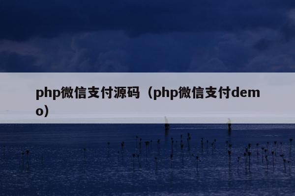 php微信支付源码（php微信支付demo）