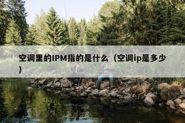 空调里的IPM指的是什么（空调ip是多少）