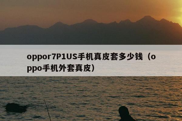 oppor7P1US手机真皮套多少钱（oppo手机外套真皮）