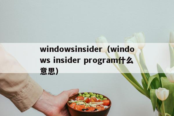 windowsinsider（windows insider program什么意思）