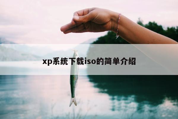 xp系统下载iso的简单介绍