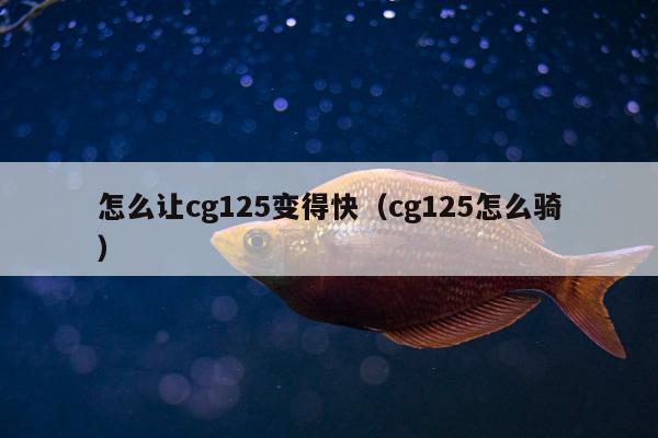 怎么让cg125变得快（cg125怎么骑）