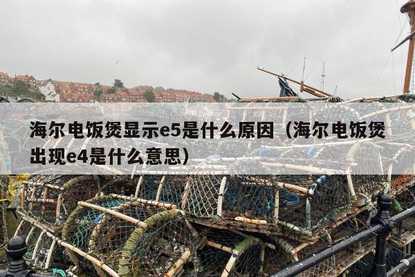 海尔电饭煲显示e5是什么原因（海尔电饭煲出现e4是什么意思）