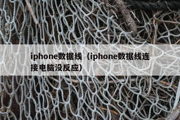 iphone数据线（iphone数据线连接电脑没反应）