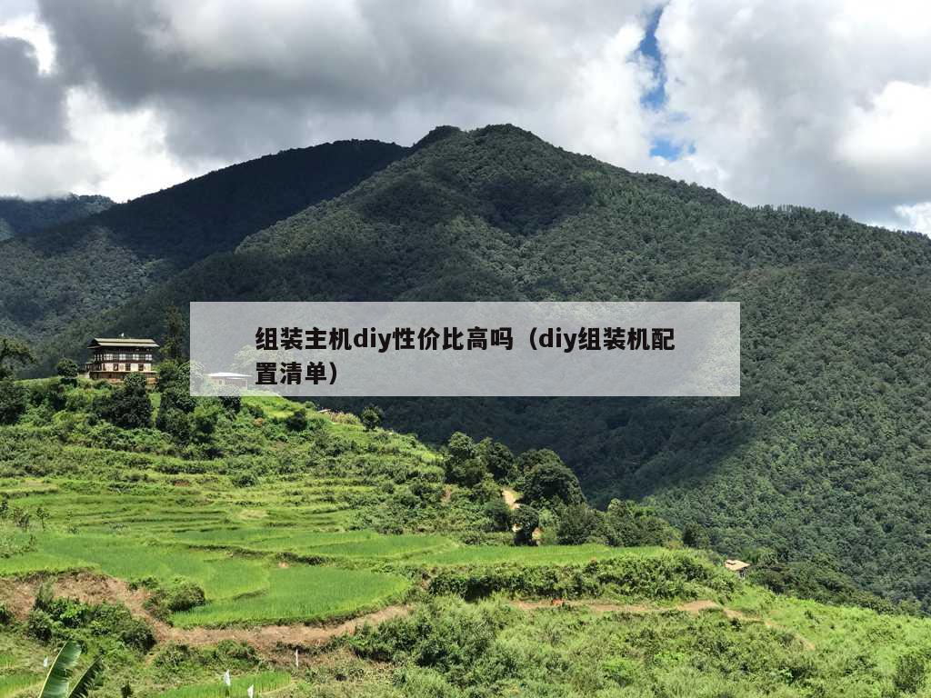 组装主机diy性价比高吗（diy组装机配置清单）