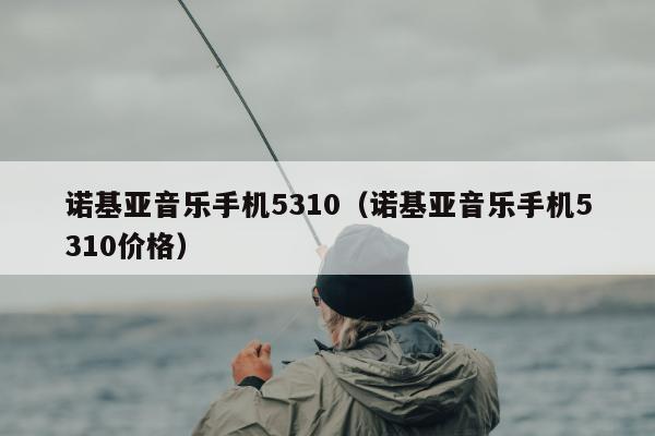 诺基亚音乐手机5310（诺基亚音乐手机5310价格）