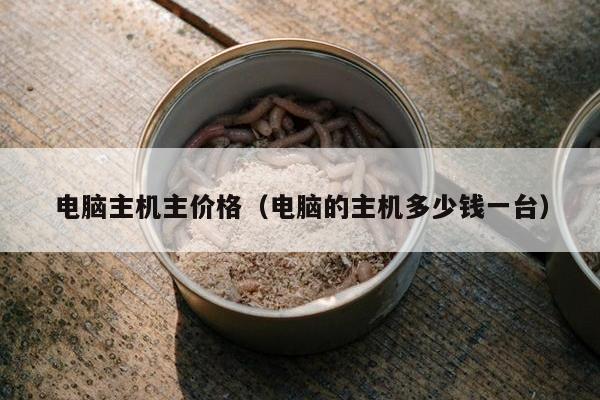 电脑主机主价格（电脑的主机多少钱一台）