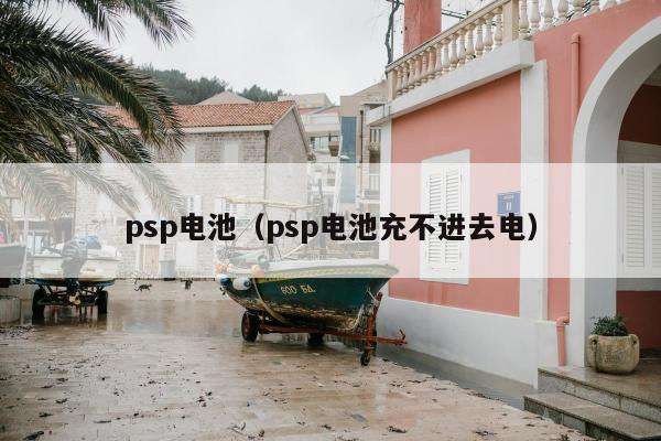 psp电池（psp电池充不进去电）