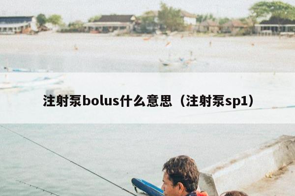 注射泵bolus什么意思（注射泵sp1）