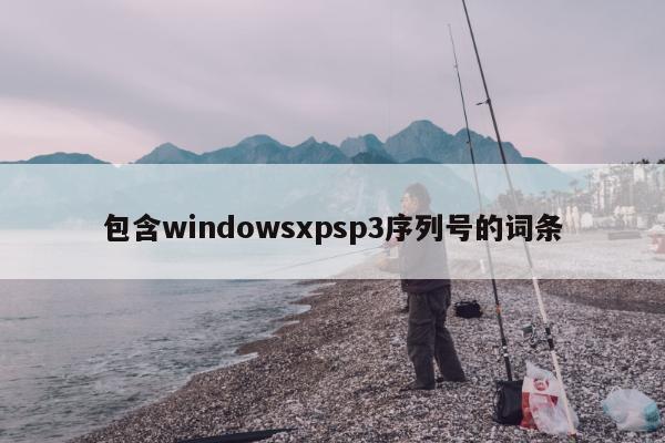 包含windowsxpsp3序列号的词条