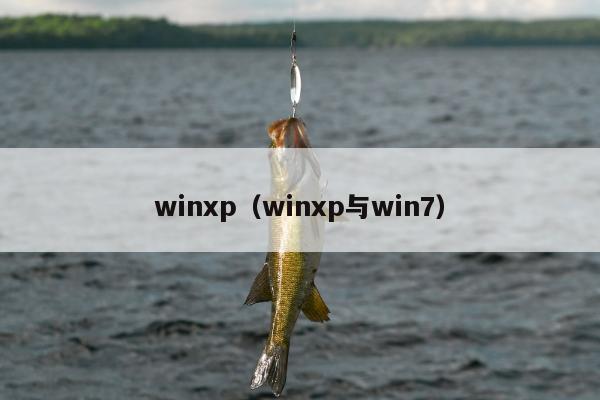 winxp（winxp与win7）