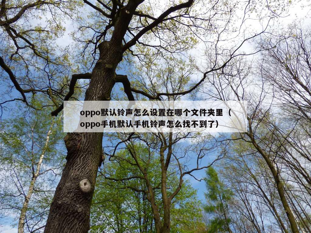 oppo默认铃声怎么设置在哪个文件夹里（oppo手机默认手机铃声怎么找不到了）