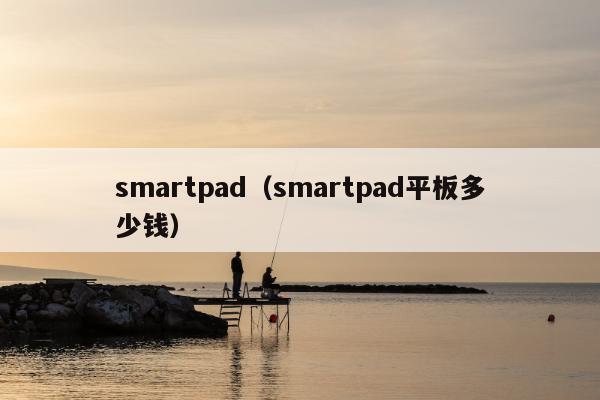 smartpad（smartpad平板多少钱）