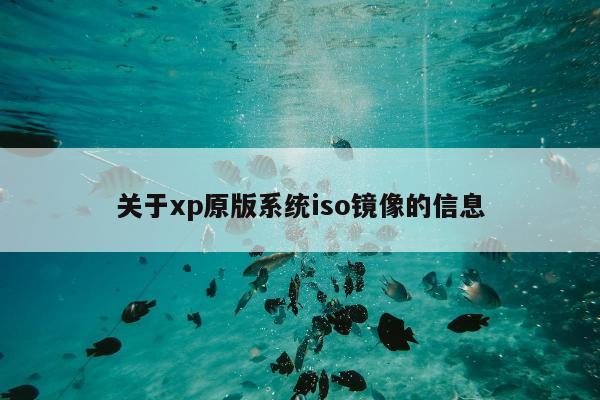 关于xp原版系统iso镜像的信息