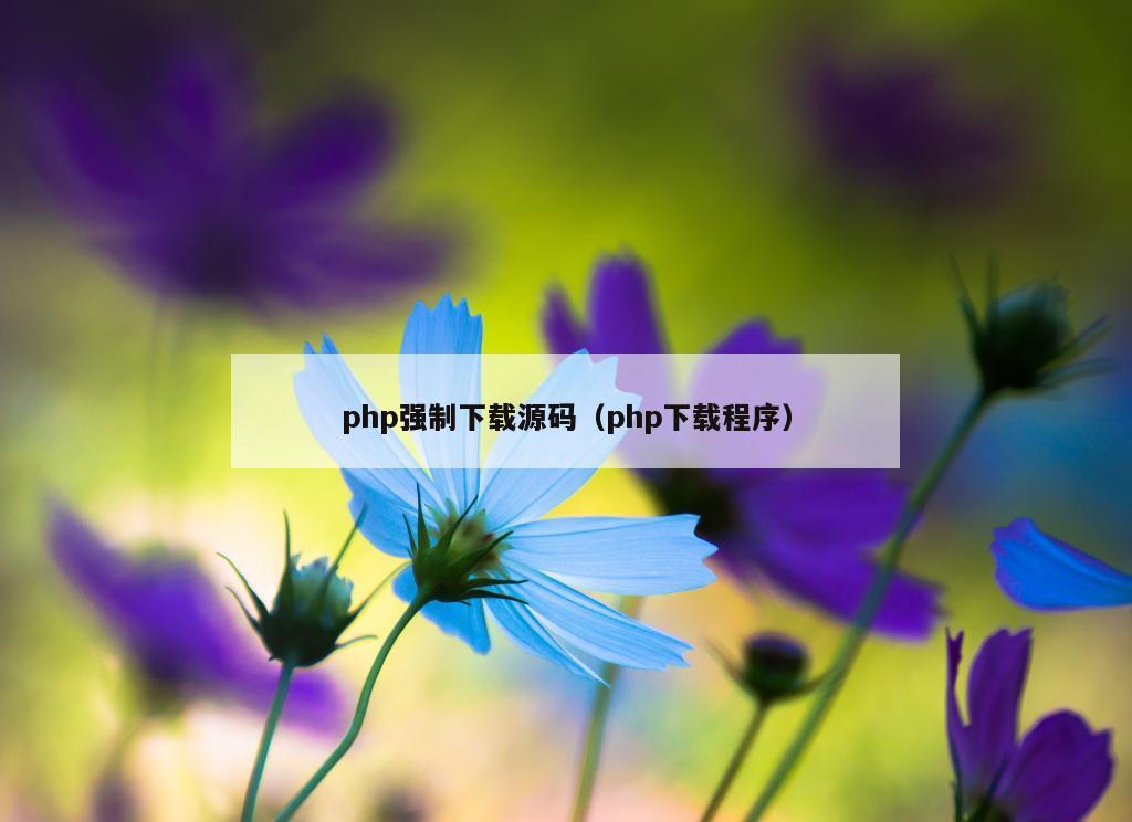 php强制下载源码（php下载程序）